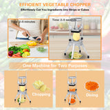 Hakka Commercial Vegetable Chopper French Fry Cutter w/3 Replacement Blades Commercial Onion Slicer Heavy Duty Potato Cutter Carrots Dicer Stainless Steel, include 3 Blades(1/2", 3/8", 1/4")